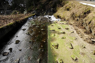 Unterer Grumbacher Teich Oberharzer Wasserwirtschaft 350 Bilder